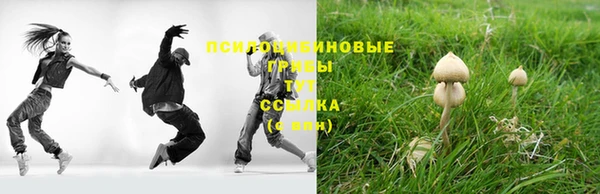 mdpv Новодвинск