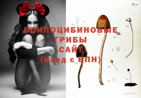 мет Новозыбков